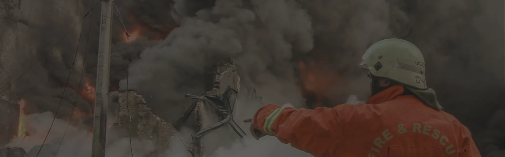 Disaster Mitigation