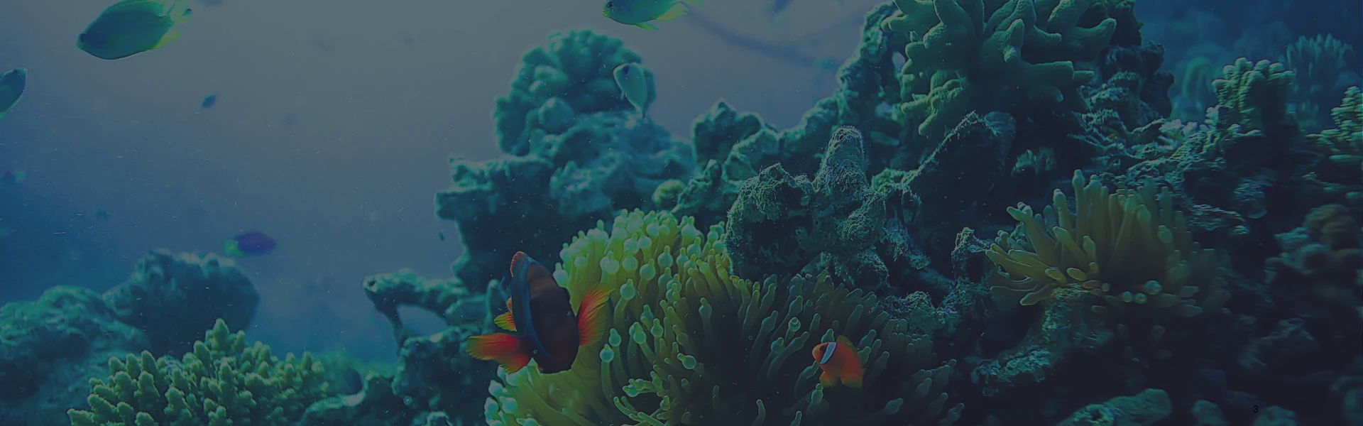 Marine & Water Resources